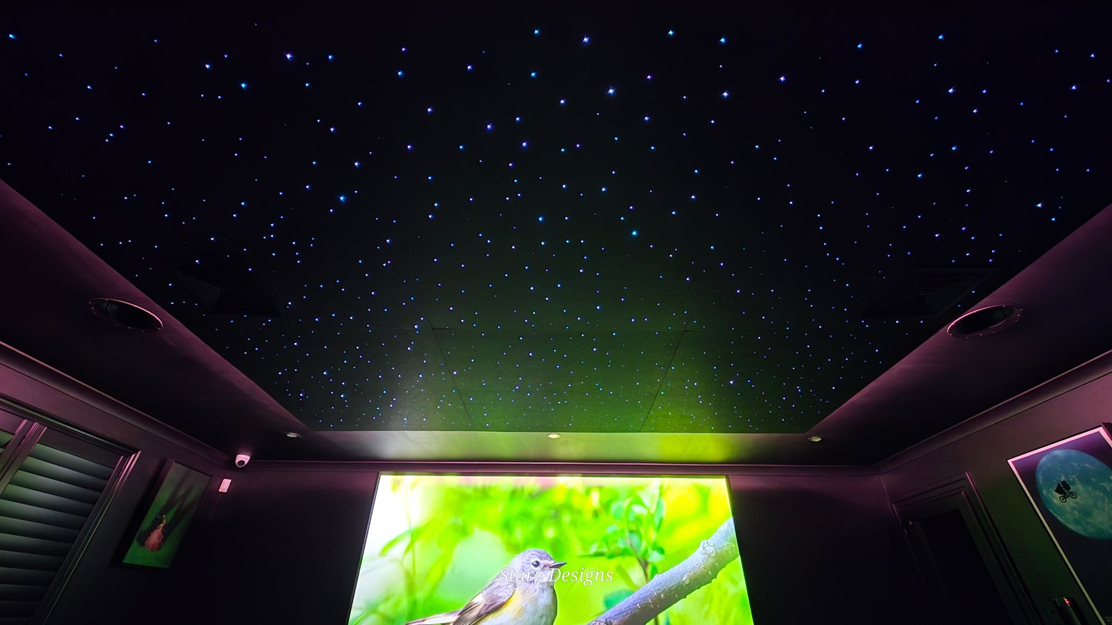Star Ceiling — Project 22