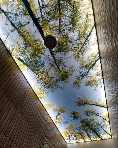 Stretch Ceiling — Project 8